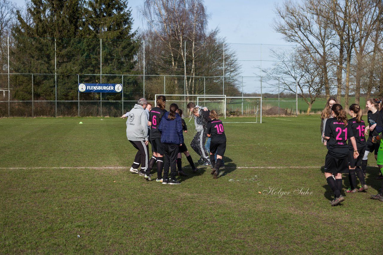 Bild 315 - C-Juniorinnen SV Steinhorst/Labenz - TSV Friedrichsberg-Busdorf : Ergebnis: 5:0